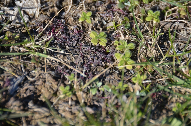 d0272423_14204095.jpg