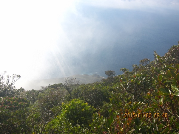 b0148050_20592956.jpg
