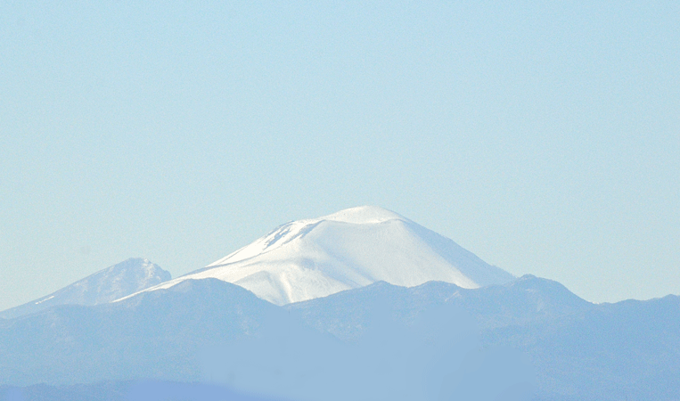 a0001354_22525427.gif