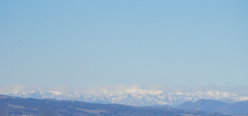 a0001354_22565253.gif
