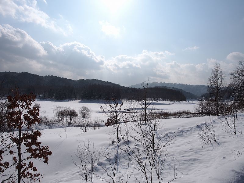 d0128465_935228.jpg