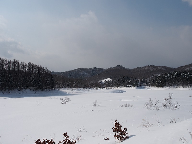 d0128465_936179.jpg