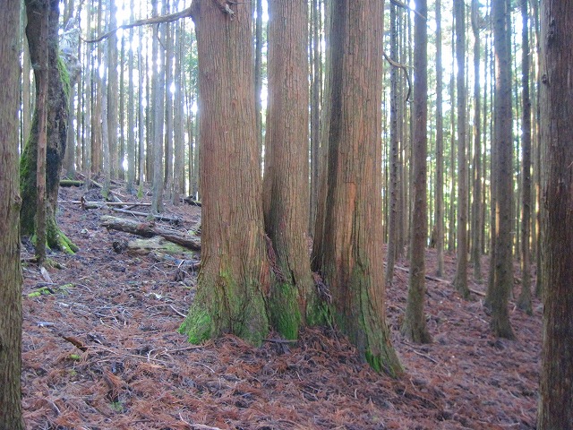 c0219866_18112349.jpg