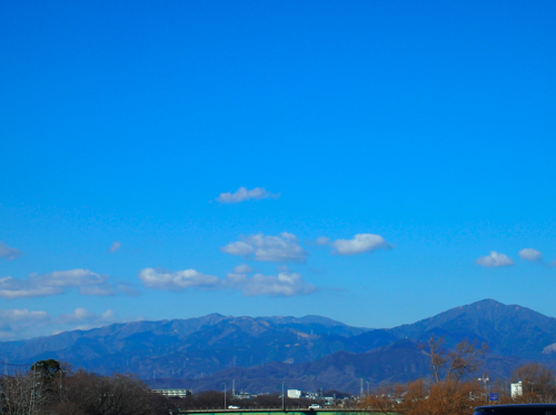 a0146493_21343774.png