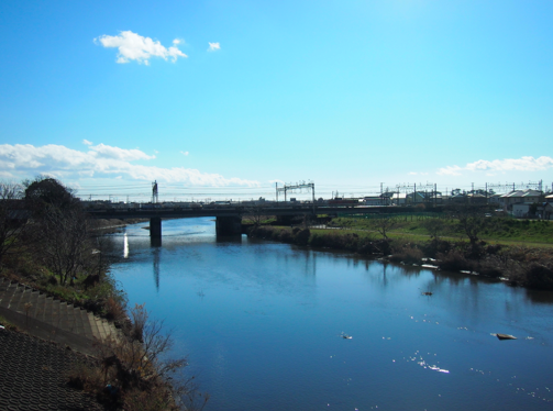 a0146493_2134942.png
