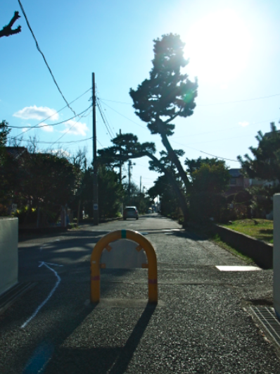a0146493_22131369.png