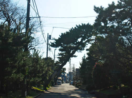 a0146493_2214178.png