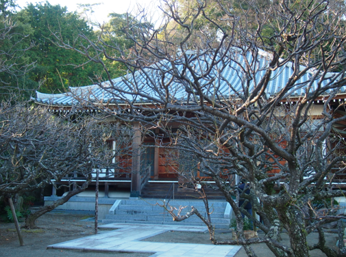a0146493_22314452.png