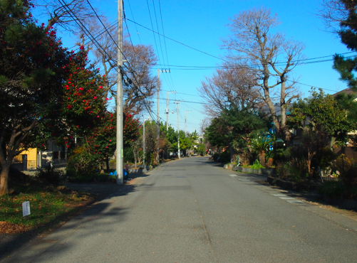 a0146493_223456.png
