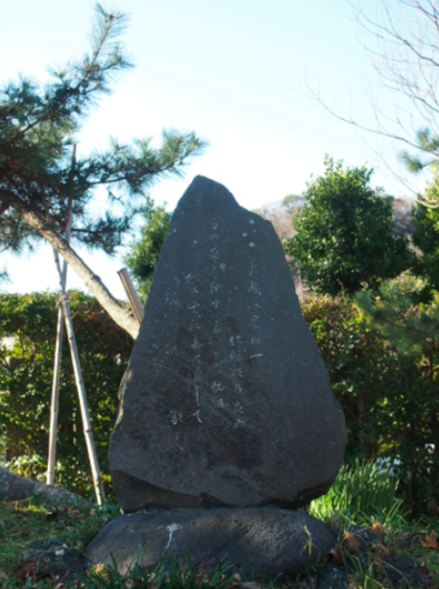 a0146493_229262.png