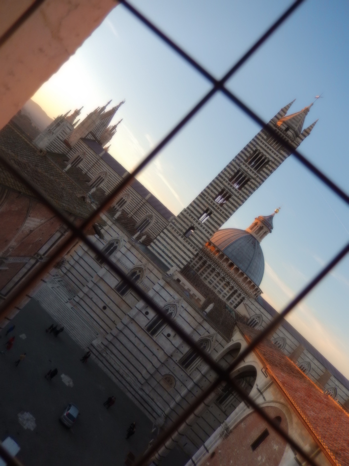 e0203793_1982878.jpg