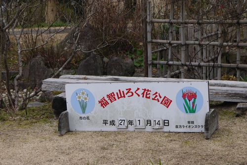 b0061107_21281632.jpg