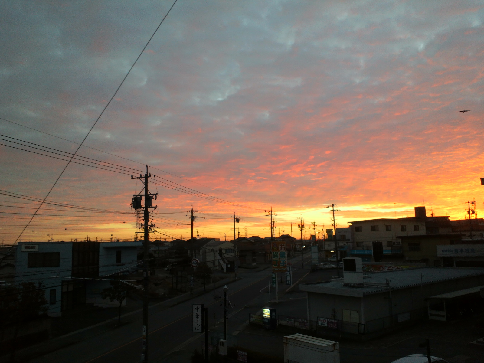 e0099212_2055987.jpg