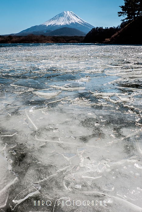 c0198227_20143512.jpg