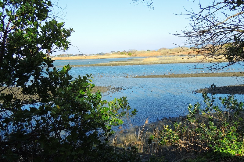 b0288942_23275210.jpg