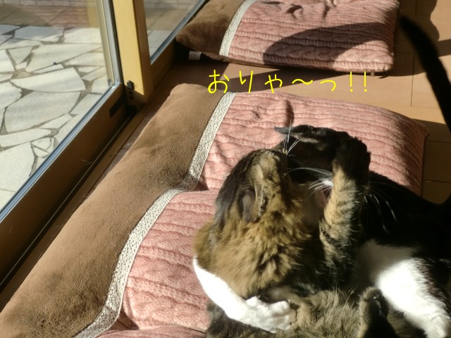 c0259945_1744363.jpg