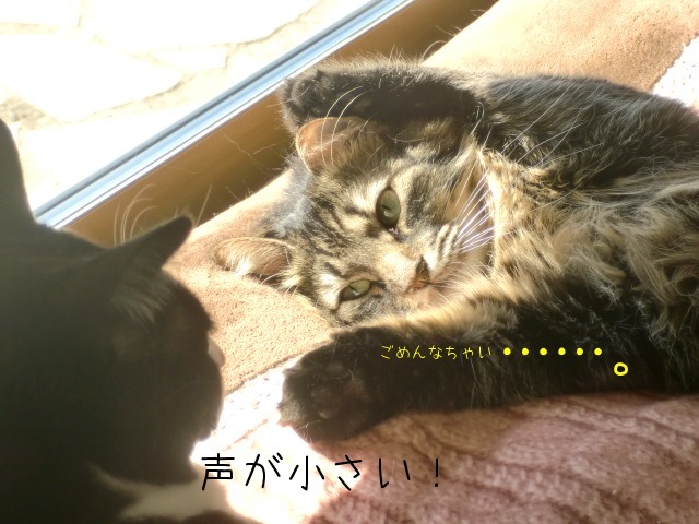 c0259945_1745219.jpg