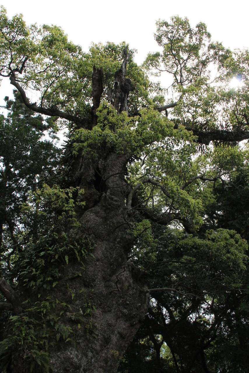 c0011649_10563999.jpg