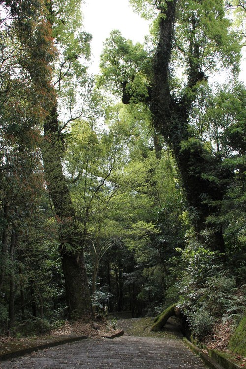 c0011649_10572415.jpg