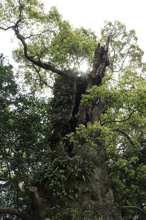 c0011649_11115942.jpg