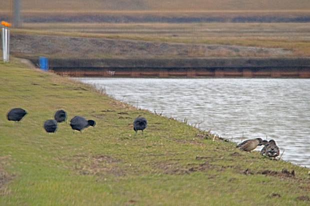 f0214649_1233683.jpg