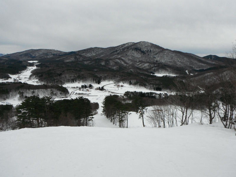 f0082181_2156441.jpg