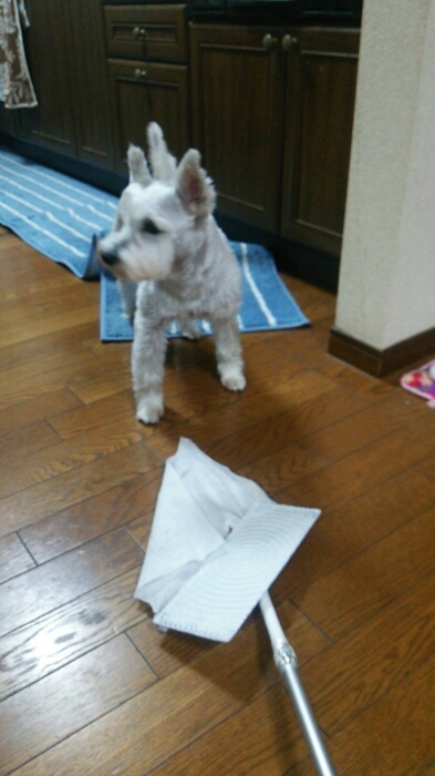 c0348784_2051876.jpg