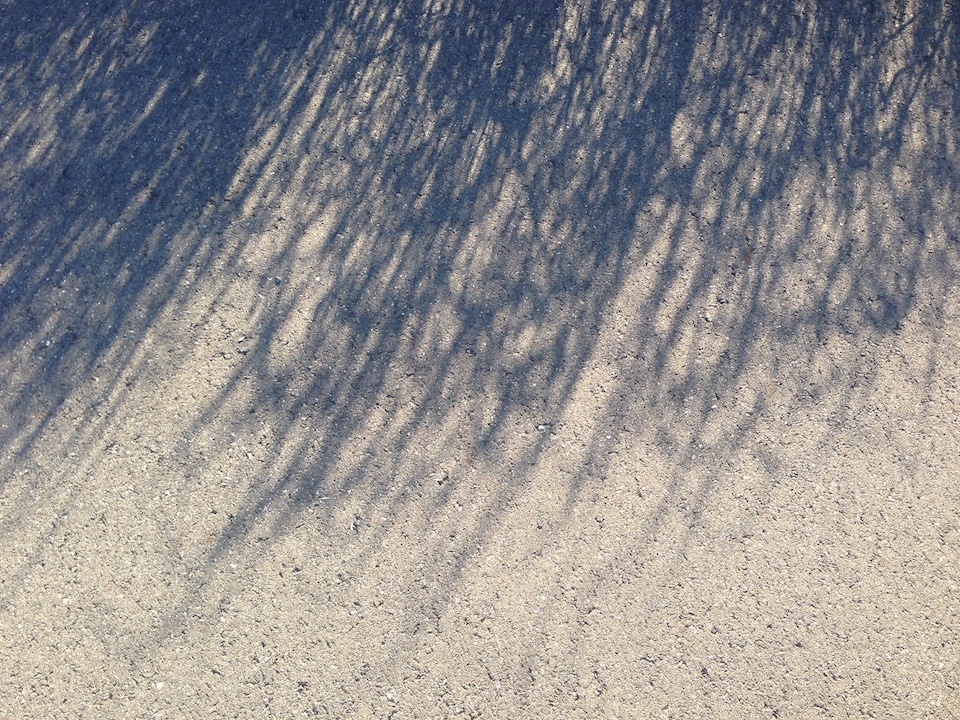 c0170789_22130909.jpg