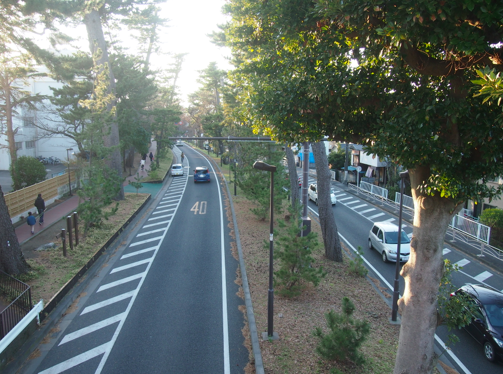 a0146493_0145831.png