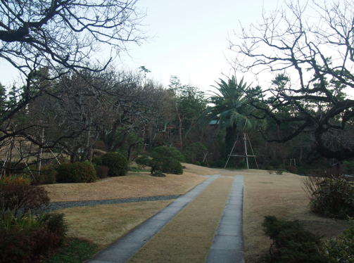 a0146493_0164142.png