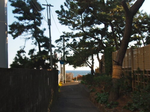 a0146493_024866.png