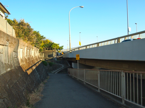 a0146493_06558.png