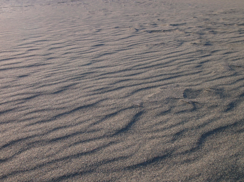 a0146493_072215.png