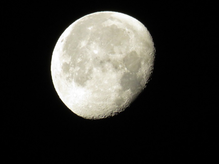 c0049299_217463.jpg