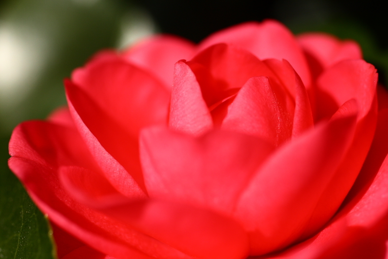 f0083400_22572249.jpg