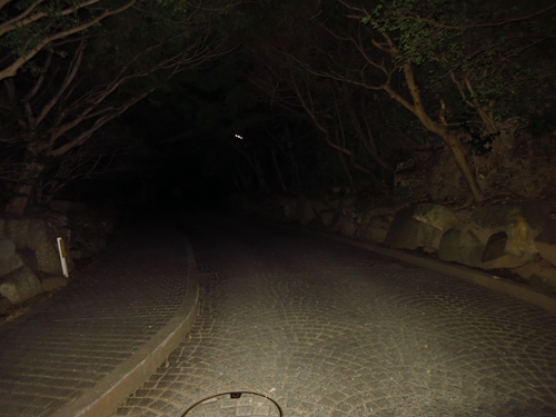 d0035307_19371486.jpg