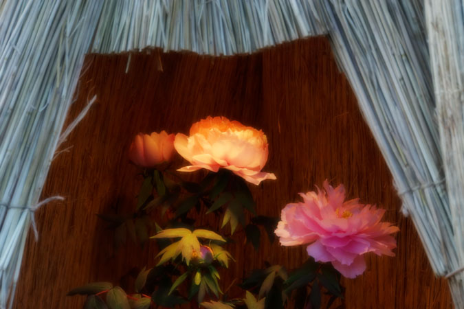 a0263109_10564131.jpg