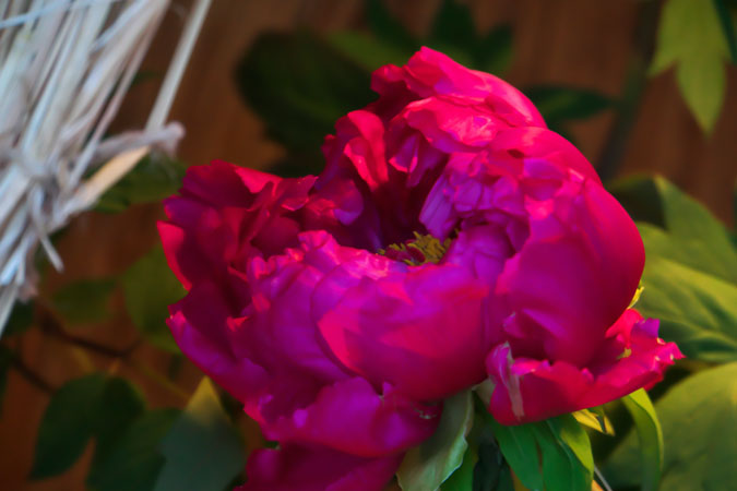 a0263109_11113691.jpg