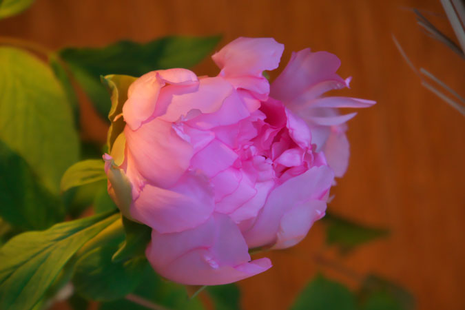 a0263109_11114043.jpg