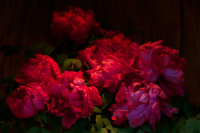 a0263109_11114711.jpg
