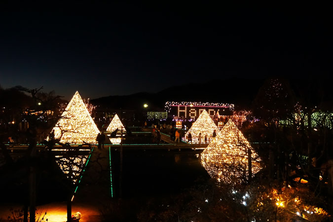 a0263109_11181688.jpg