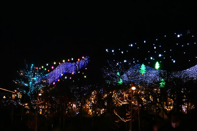 a0263109_11182317.jpg