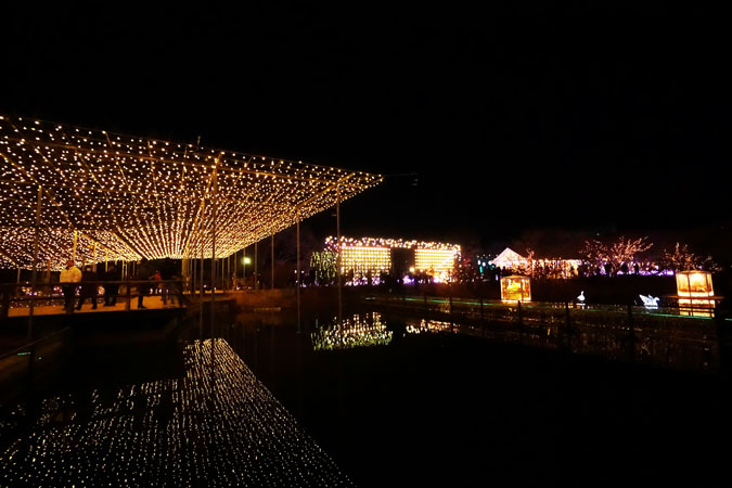 a0263109_11201067.jpg