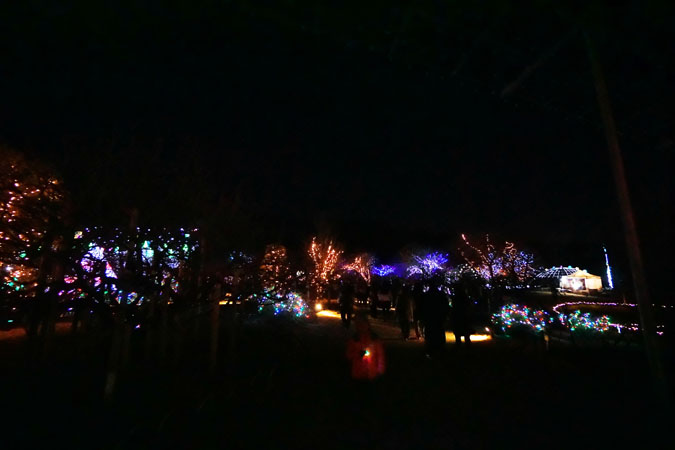 a0263109_11202398.jpg