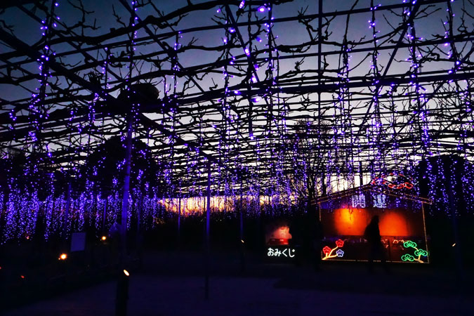 a0263109_1142958.jpg