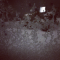 a0177032_23070980.png