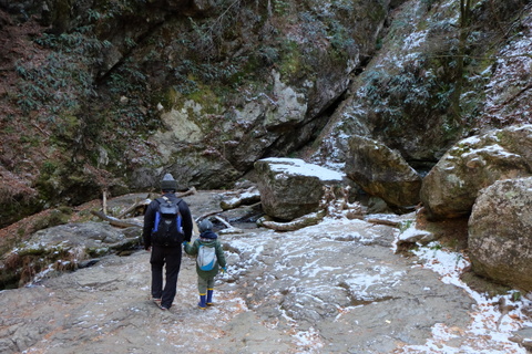 b0281732_7433452.jpg