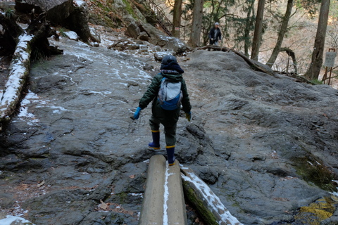 b0281732_743827.jpg