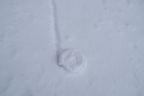 f0118332_23493277.jpg