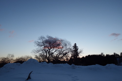 f0118332_23495153.jpg